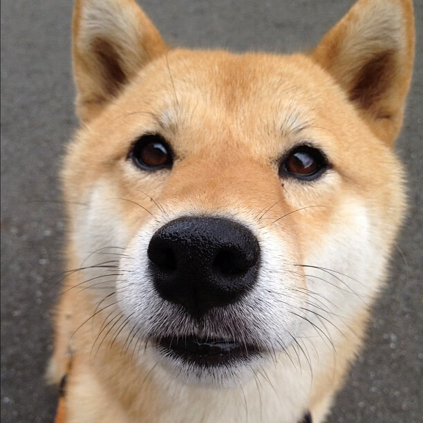 中超强队对决战术比拼报告，中超强队排名